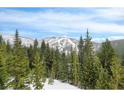 47065 Snowmist Drive, Mission, BC V0M1A1 Photo 10
