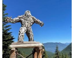 47065 Snowmist Drive, Mission, BC V0M1A1 Photo 15