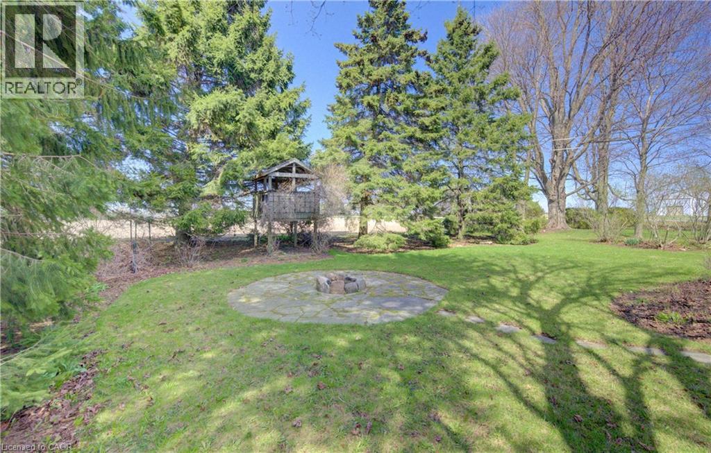 Expansive backyard featuring a stone fire pit, mature evergreen trees, and a raised wooden structure