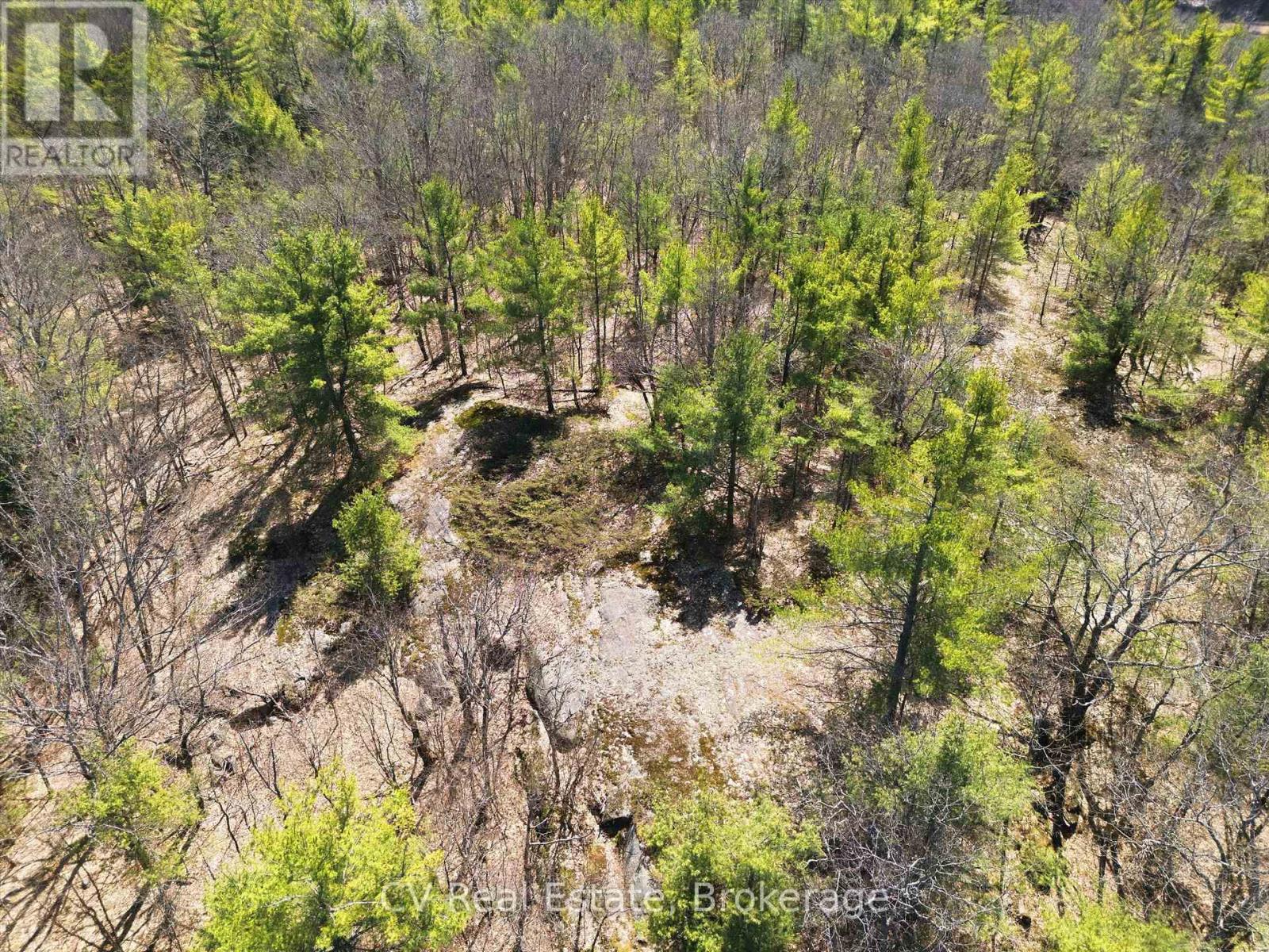 1671 MUSKOKA RD 38 — photo 14