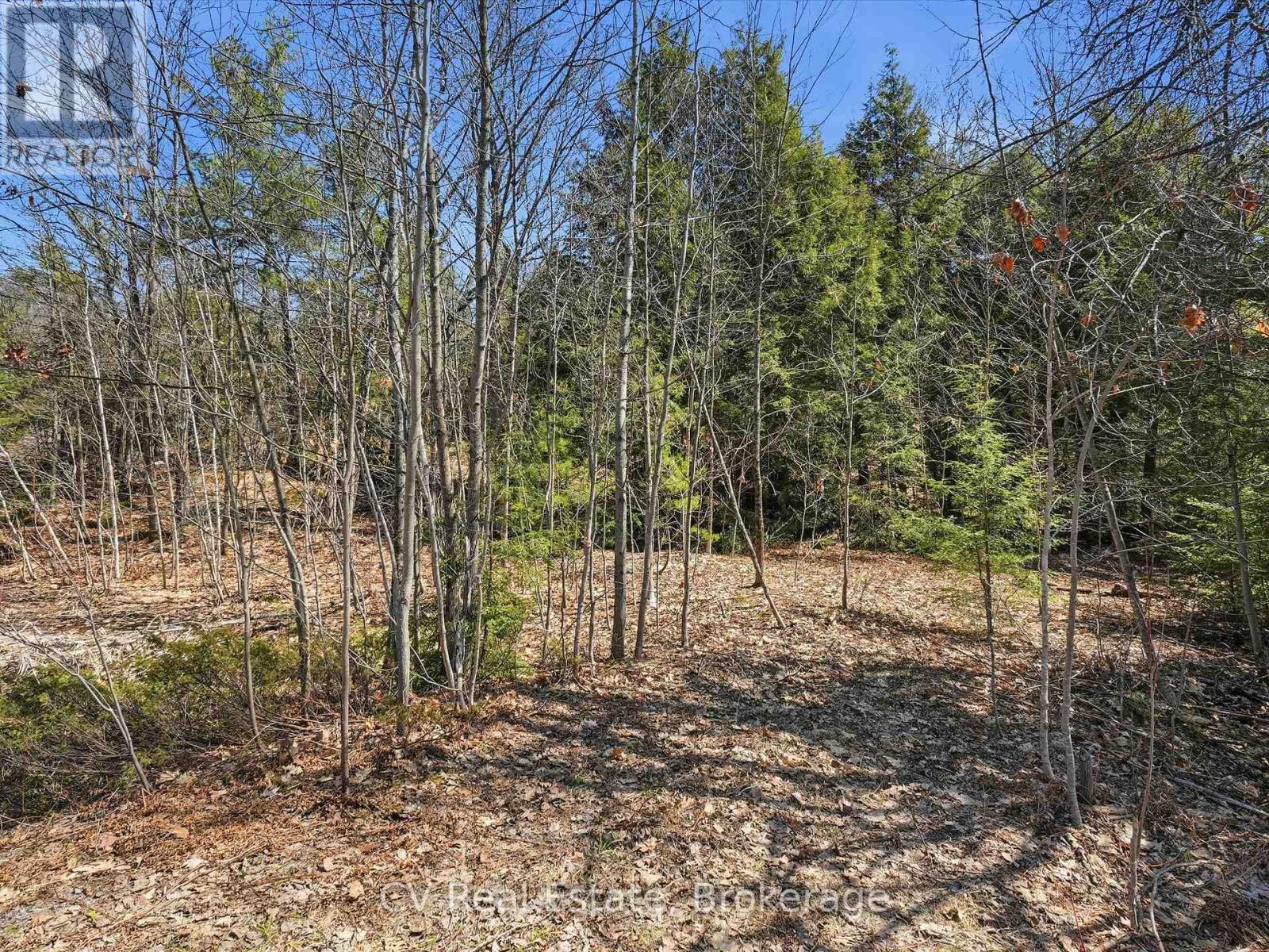 1671 MUSKOKA RD 38 — photo 15