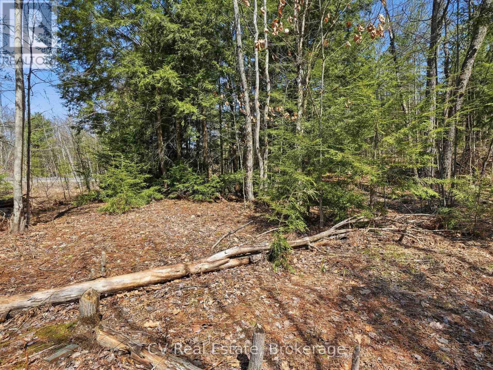 1671 MUSKOKA RD 38 — photo 16