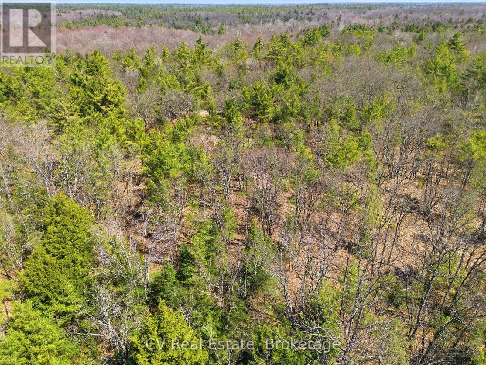 1671 MUSKOKA RD 38 — photo 8