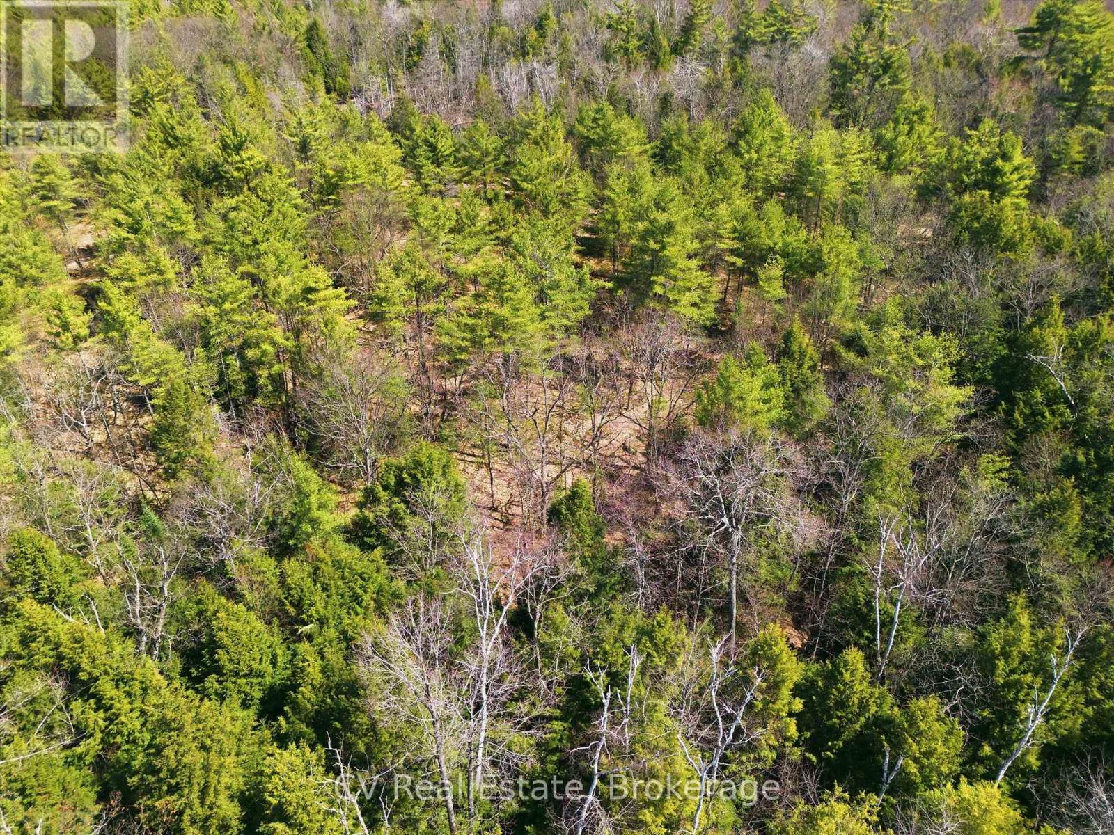 1673 MUSKOKA RD 38 — photo 11