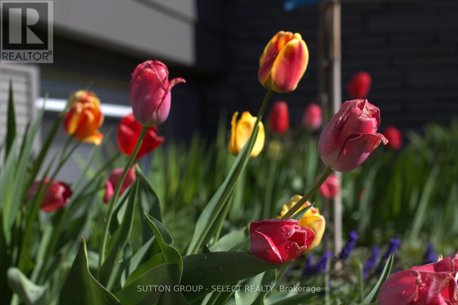 1054 CHIPPEWA DRIVE Property Photo