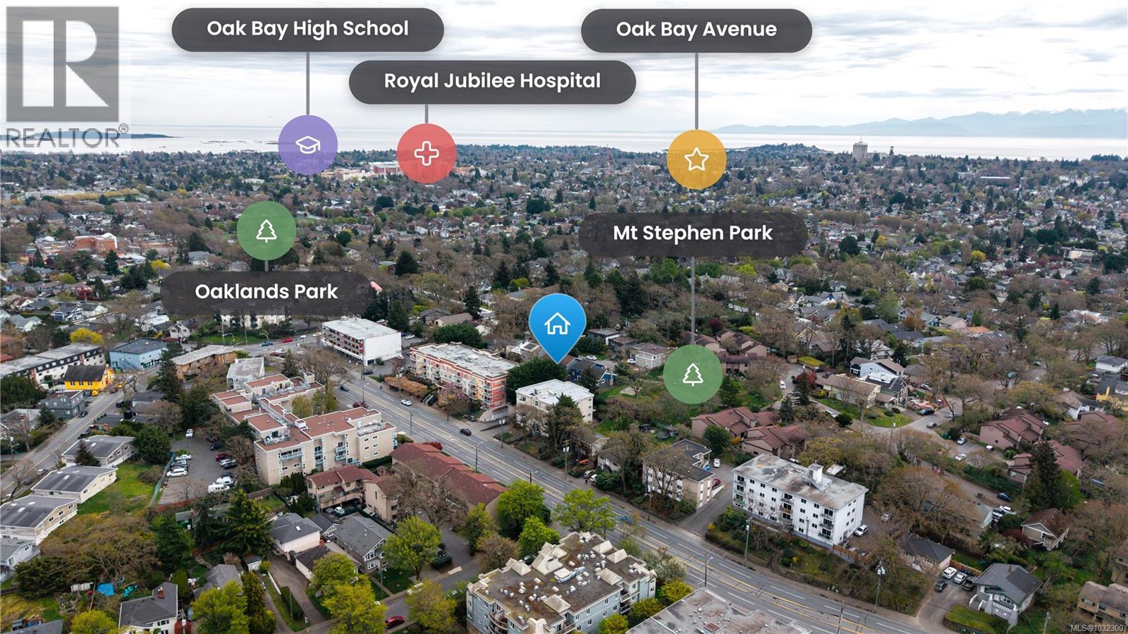 204 1361 Hillside Avenue, Victoria