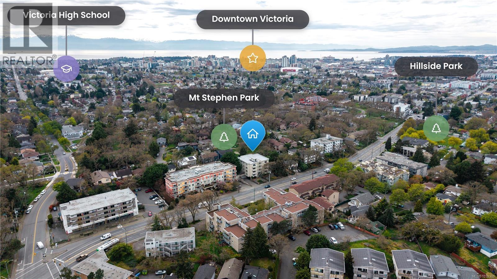 204 1361 Hillside Avenue, Victoria