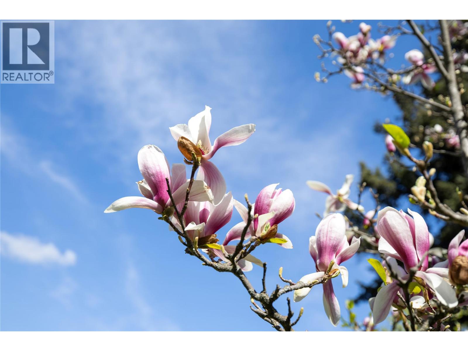 3700 24 Avenue, Vernon