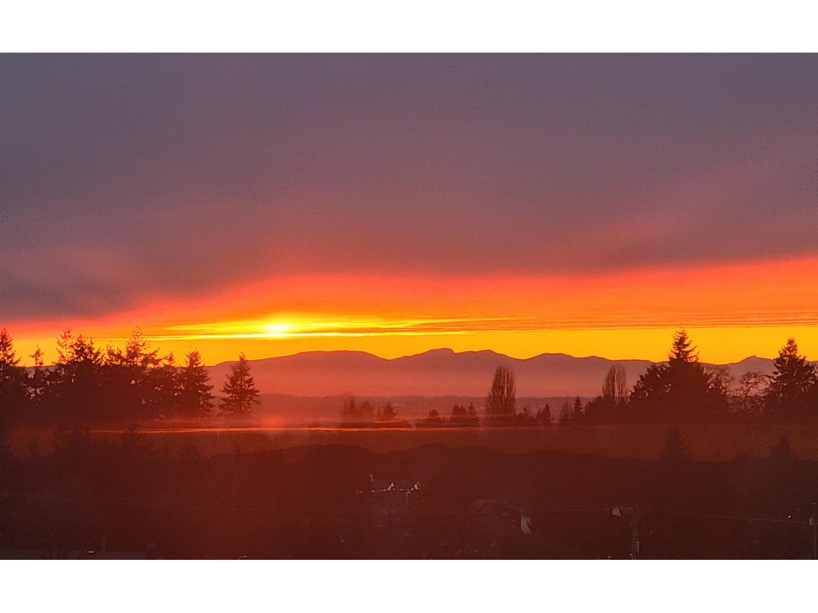 #1005-11910 80 Avenue, Delta