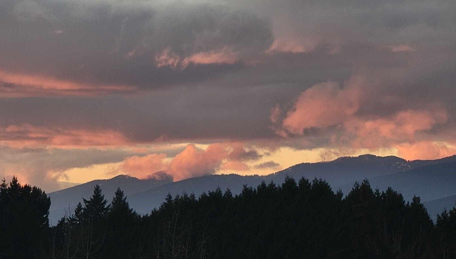 #1005-11910 80 Avenue, Delta