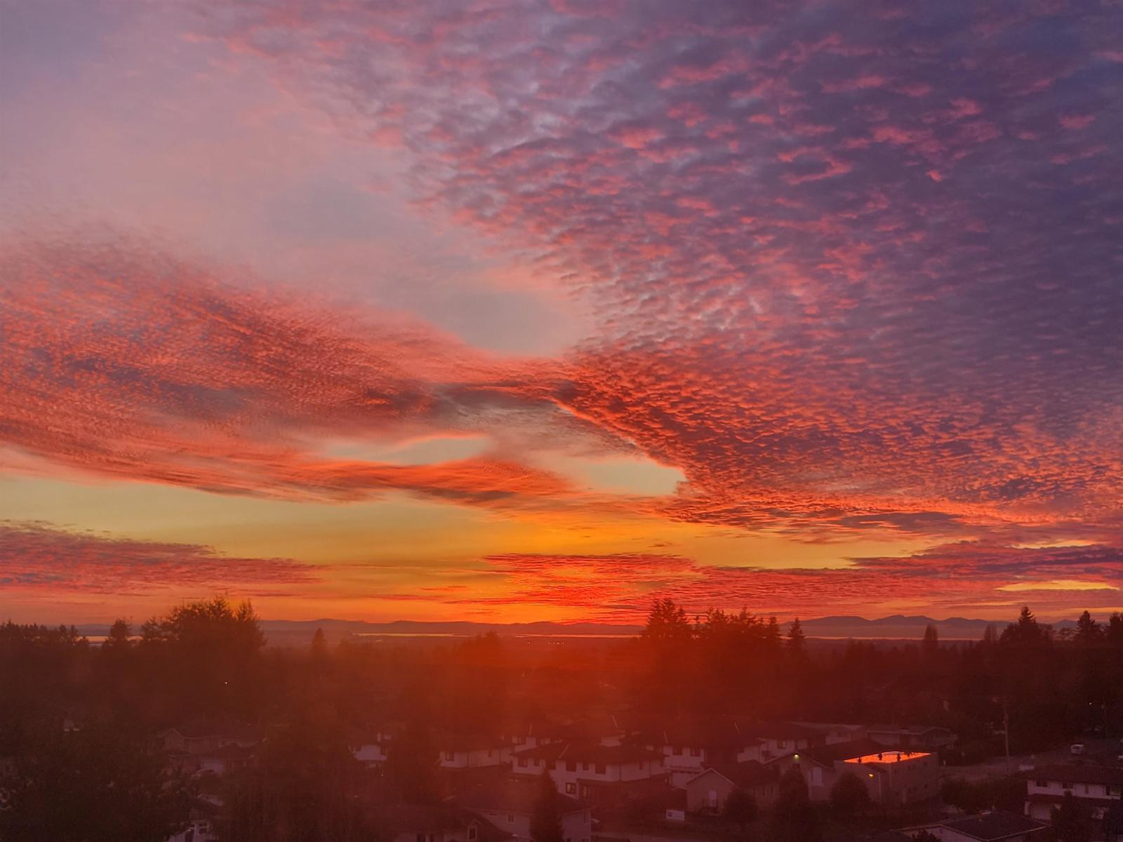 #1005-11910 80 Avenue, Delta