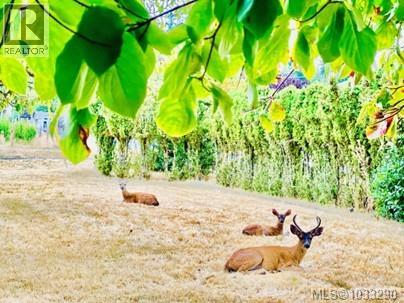 5560 Oceanview Terr - 47