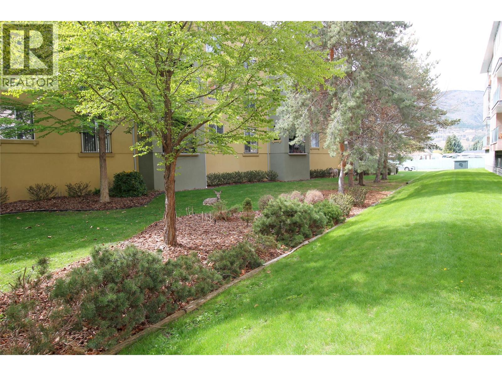 203 3426 Hemlock Street, Penticton