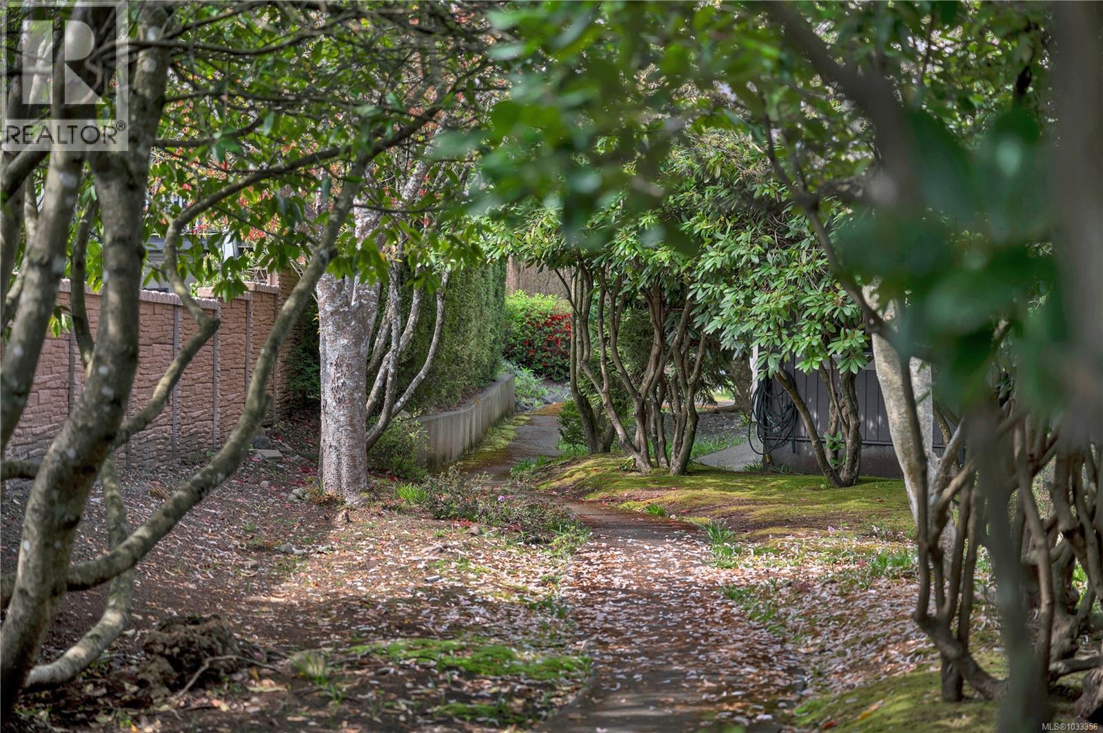 #5 3020 CLIFFE Ave - 44