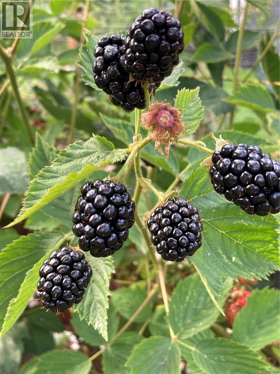  5384 Miller Road, Duncan