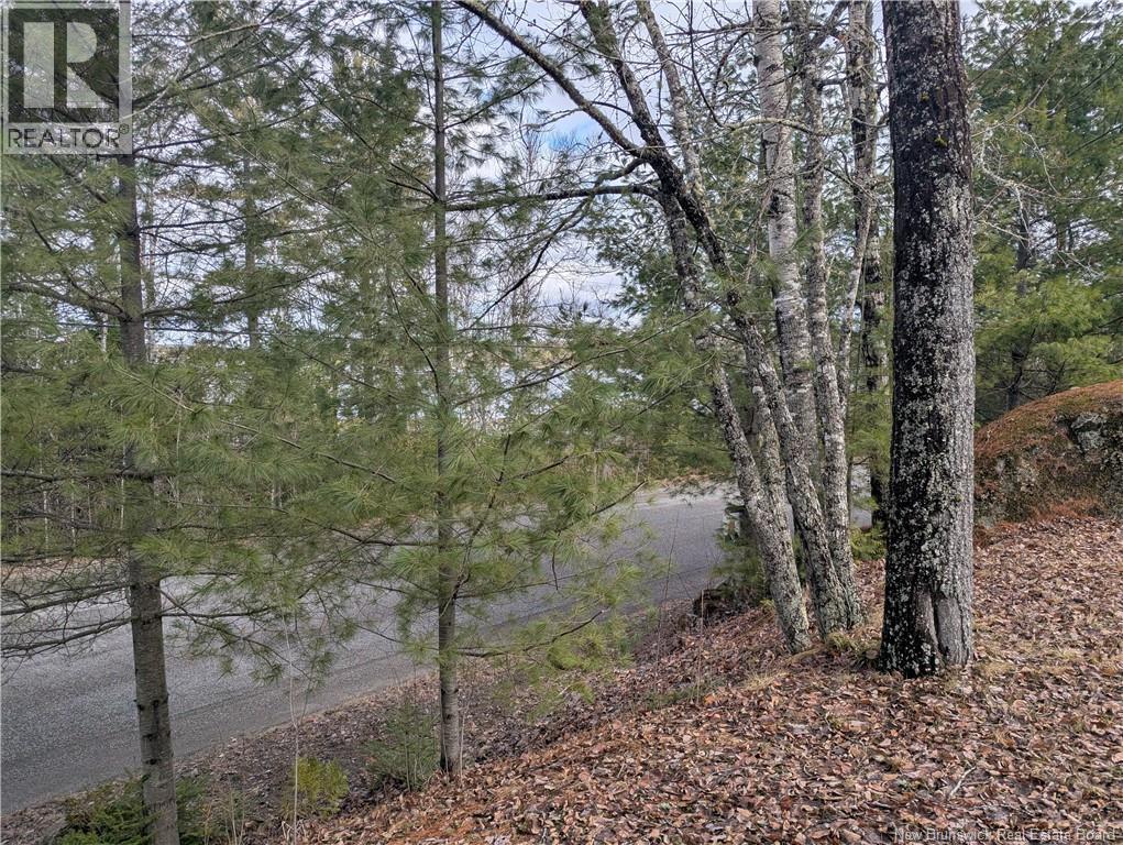 3837 Route 122 - 16