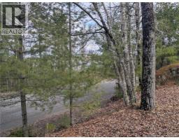 3837 Route 122, Fosterville, NB E7M4V1 Photo 16