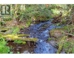 33 300 Grosskleg Way, Lake Cowichan, BC V0R2G1 Photo 38