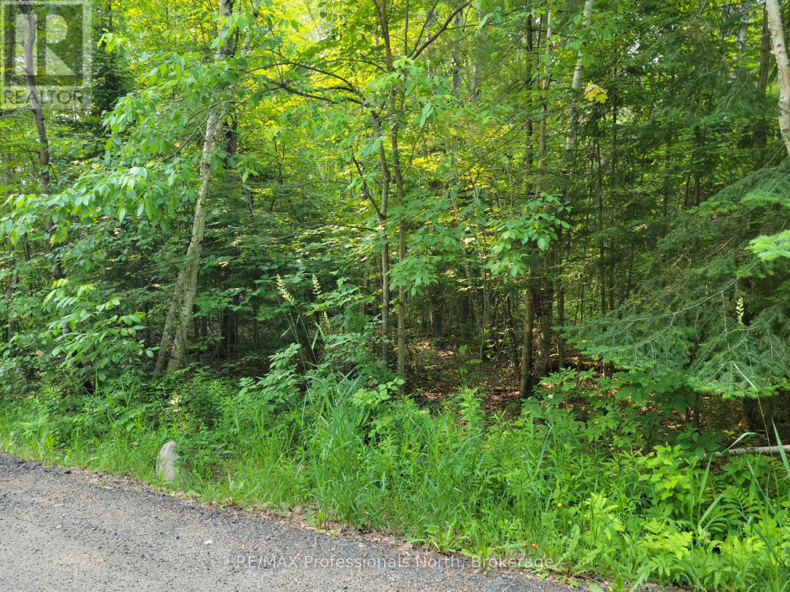 29 - 29 MOUNT VERNON TRAIL - photo 3