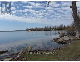 177 Shannon Street, Orillia, ON L3V7B6 Photo 36