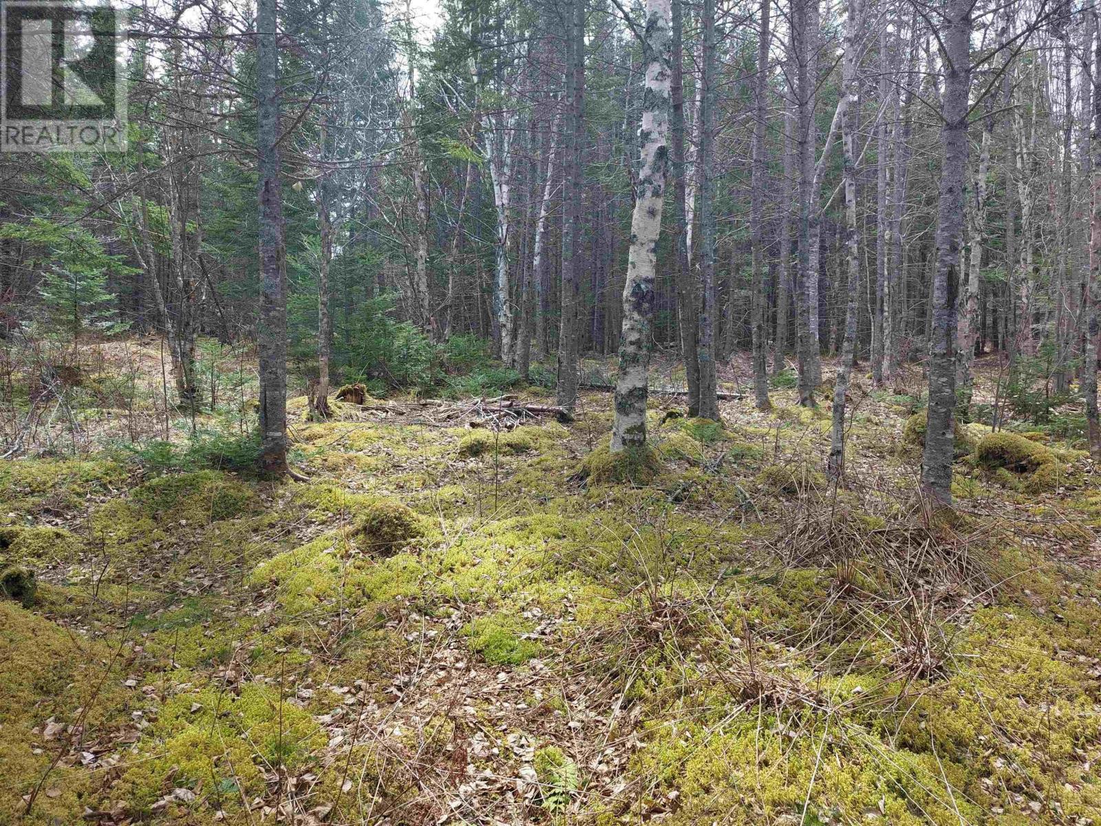 Property 10 of 12 of Lot 25 Andreas Popp Lane