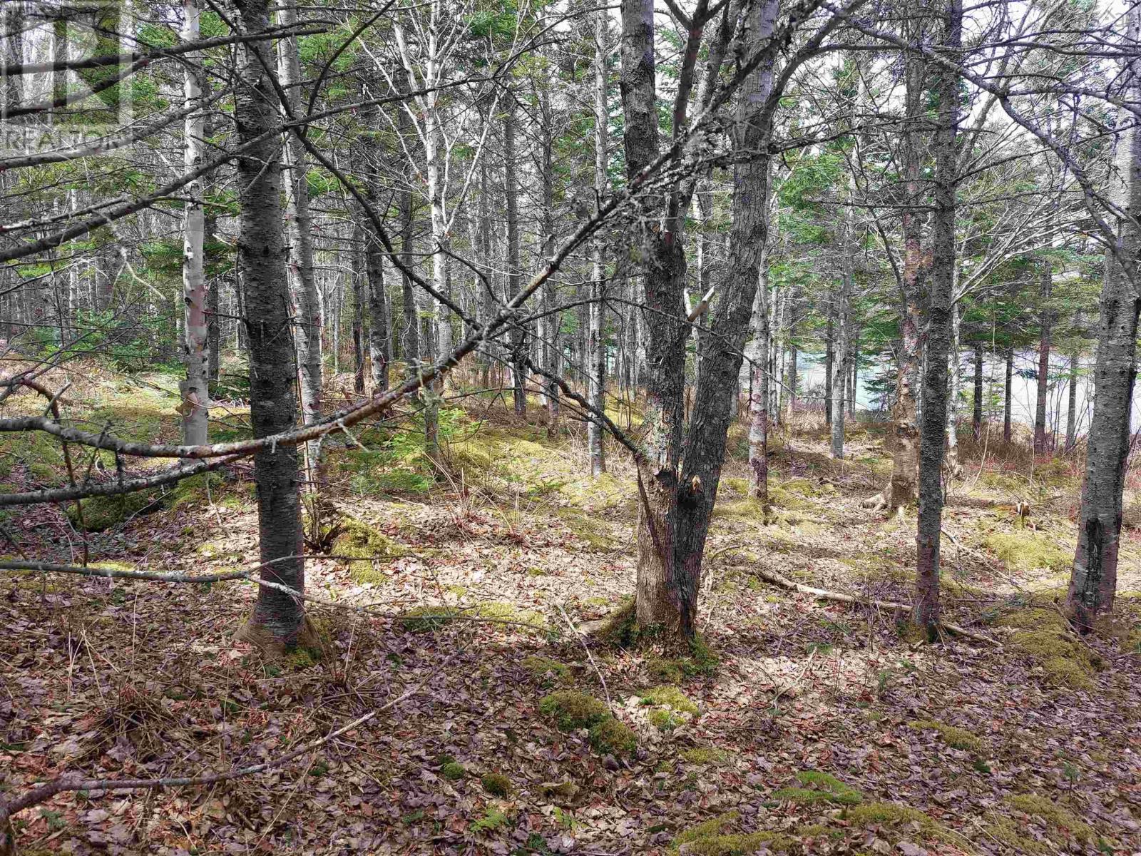 Property 12 of 12 of Lot 25 Andreas Popp Lane