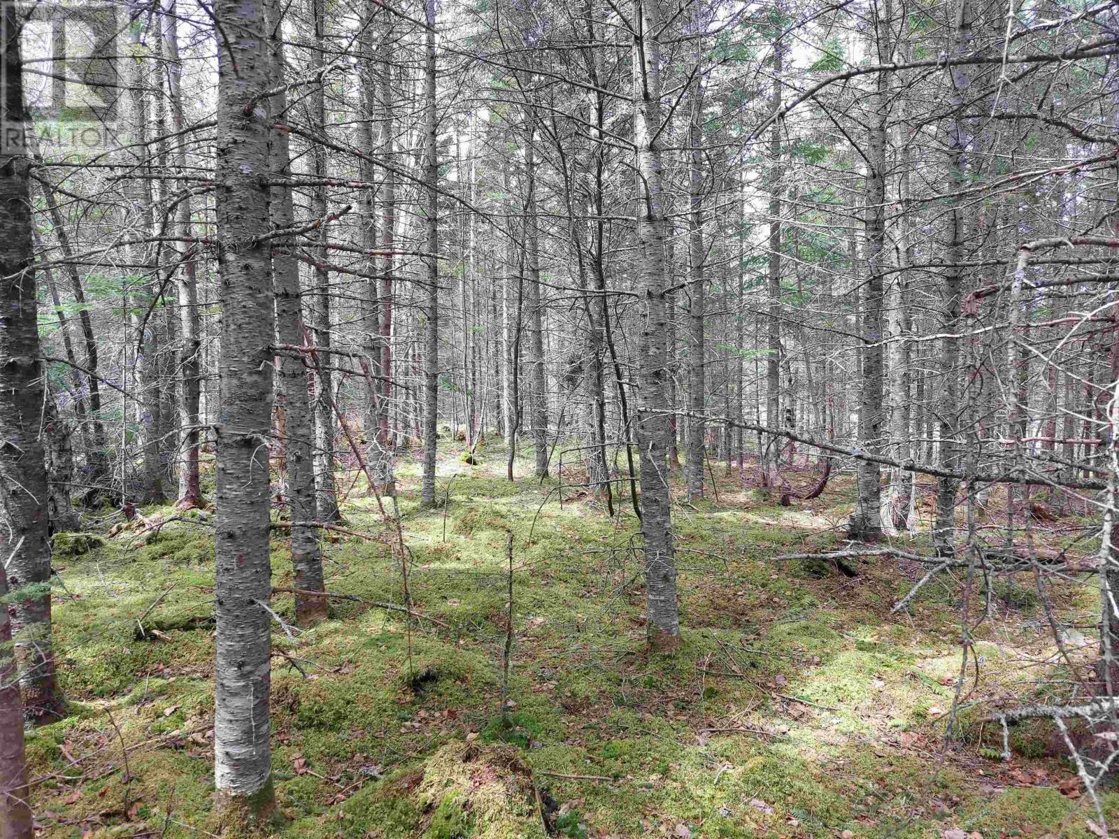 Property 11 of 12 of Lot 25 Andreas Popp Lane