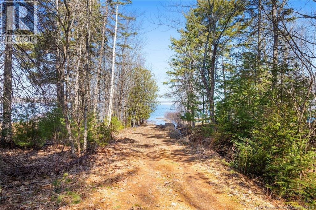 42 Gordon Shore Road - 41