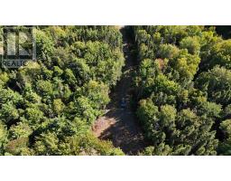 Marble Mountain Road, Redbird Drive, Big Harbour Centre, Big Harbour, NS B0E2Y0 Photo 22