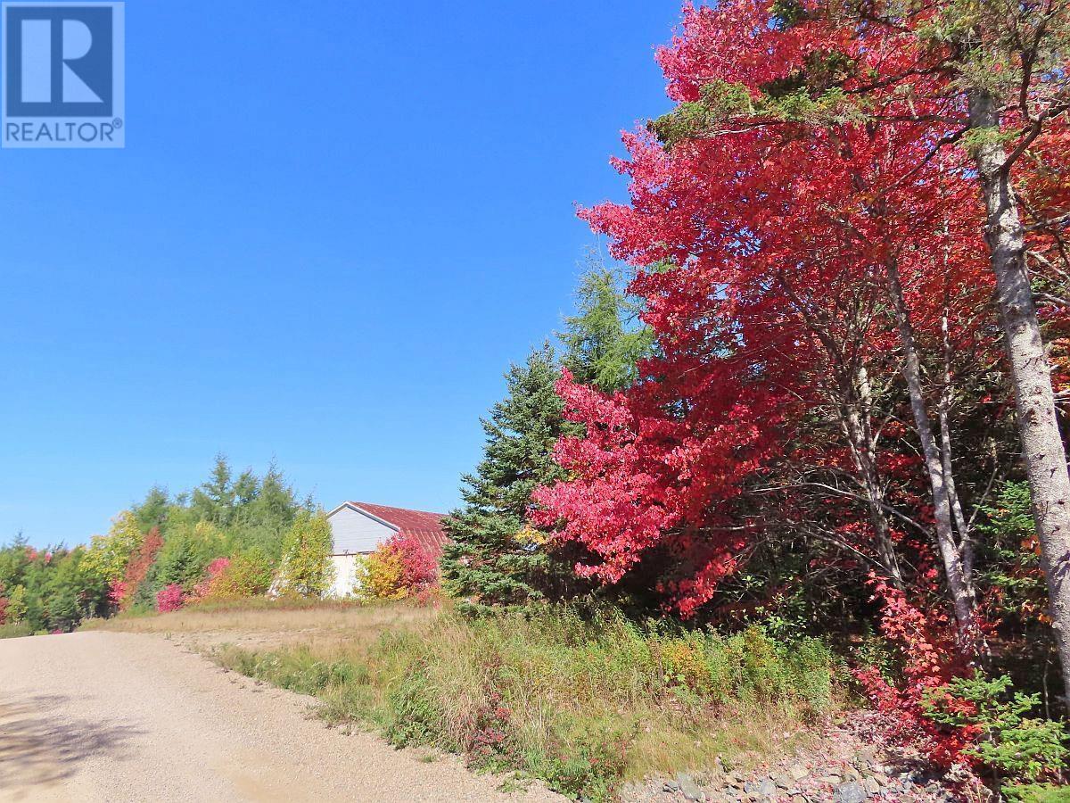 62 Acres West Side Road — photo 10