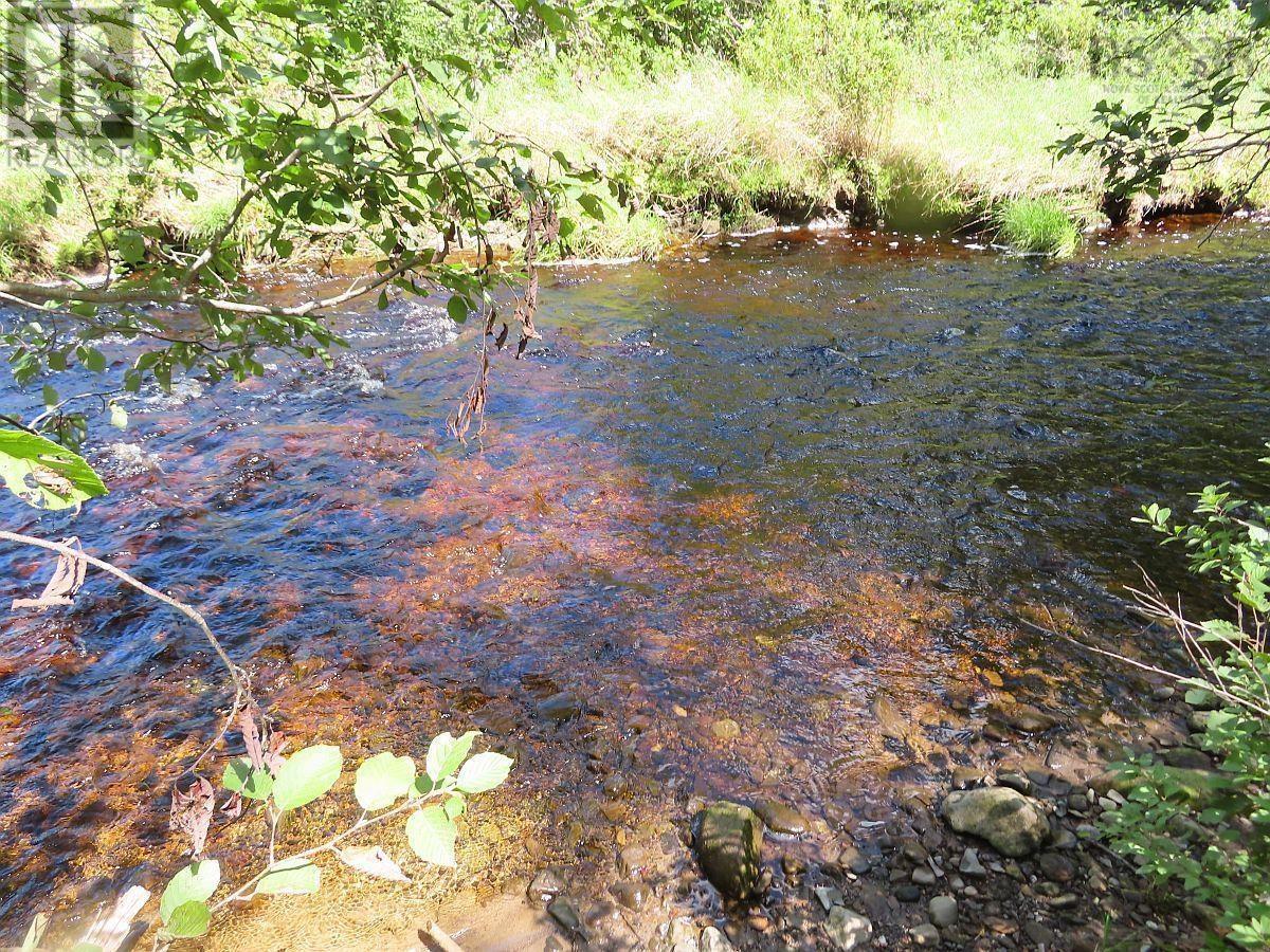 62 Acres West Side Road — photo 16