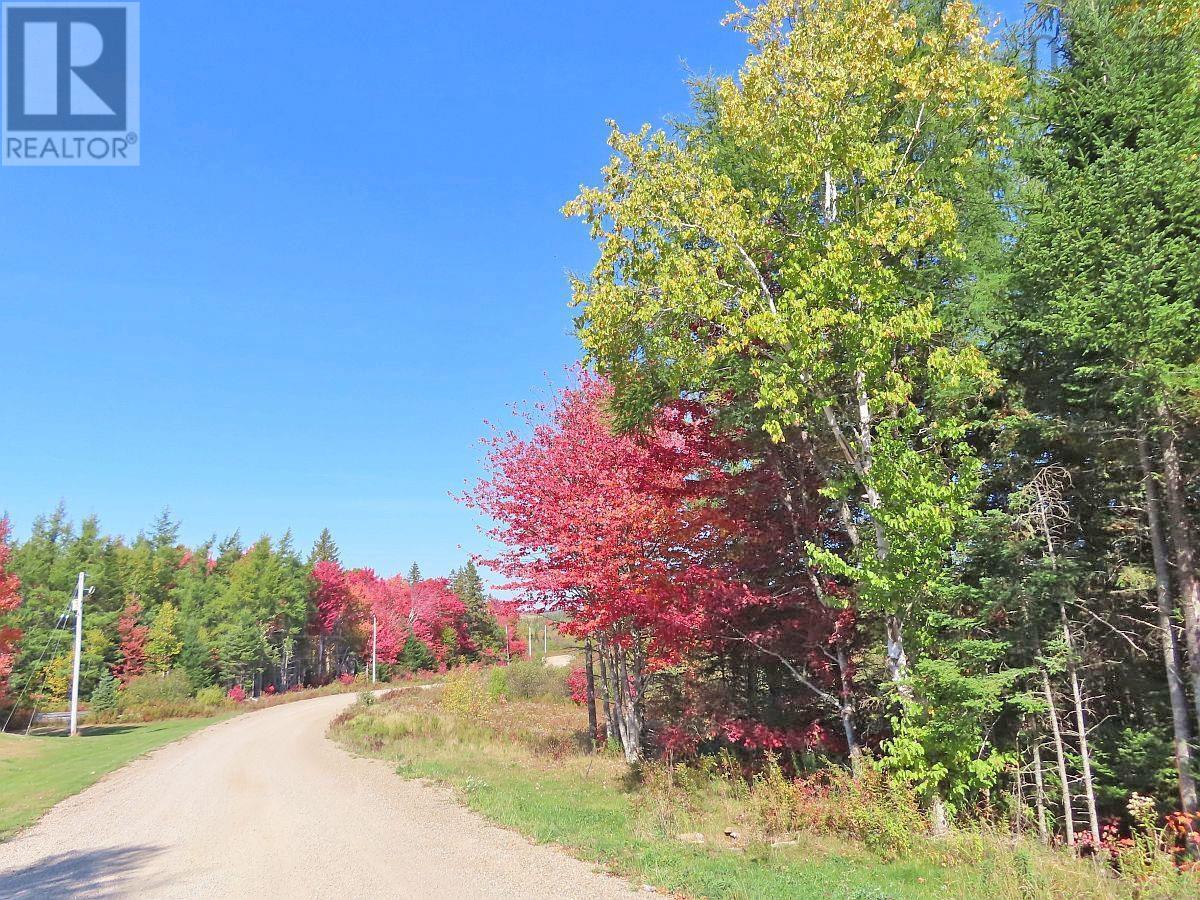62 Acres West Side Road — photo 2