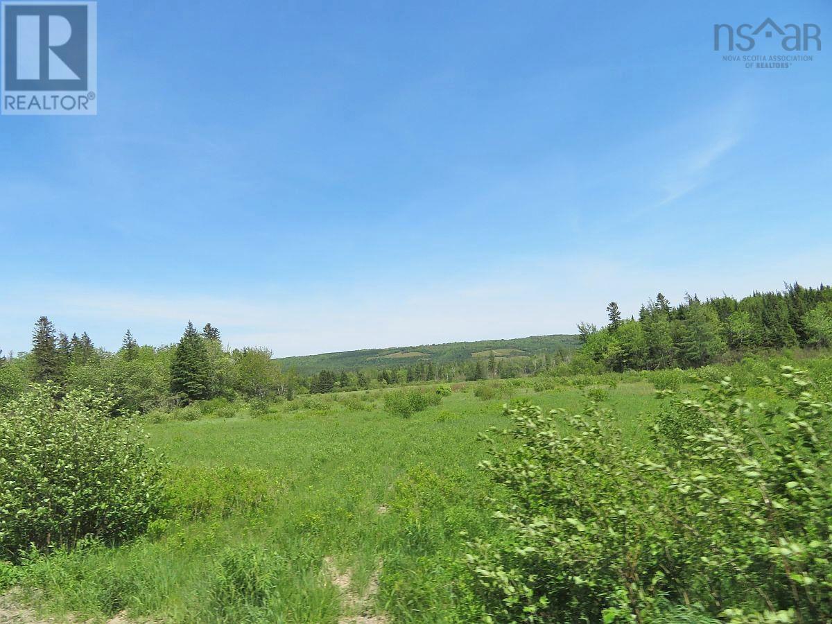 62 Acres West Side Road — photo 42