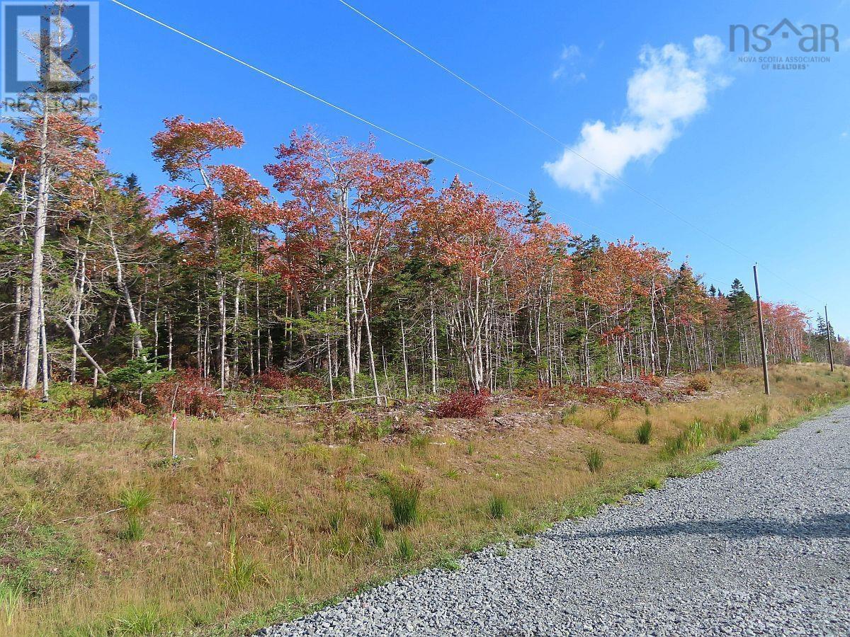 Property 11 of 29 of Lot 20 Perry Lane
