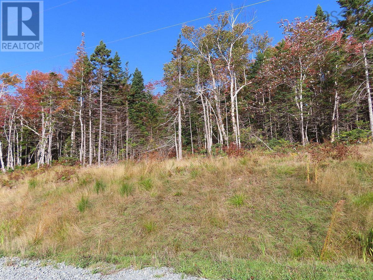 Property 13 of 29 of Lot 20 Perry Lane