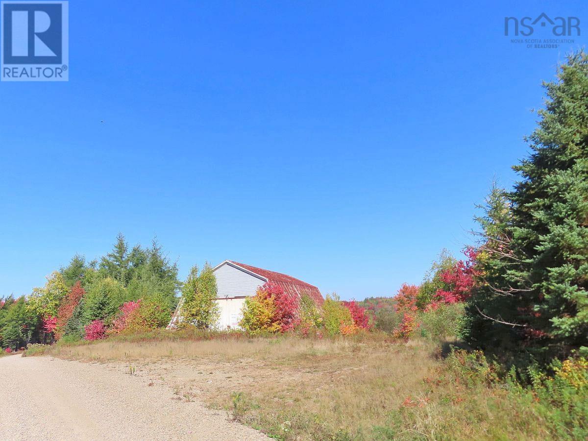 62 Acres West Side Road — photo 9