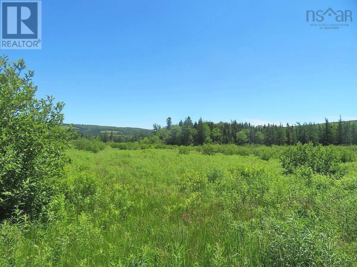 62 Acres West Side Road — photo 41