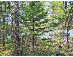 Lot 2 Lower River Road, Hureauville, NS B0E1J0 Photo 32