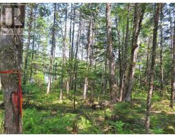 Lot 2 Lower River Road, Hureauville, NS B0E1J0 Photo 23
