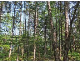 Lot 2 Lower River Road, Hureauville, NS B0E1J0 Photo 18