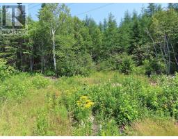 Lot 2 Lower River Road, Hureauville, NS B0E1J0 Photo 24
