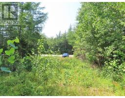 Lot 2 Lower River Road, Hureauville, NS B0E1J0 Photo 19