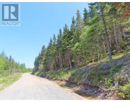 Lot 3 Upper Grand Mira Road, Upper Grand Mira, NS B1K1M1 Photo 36
