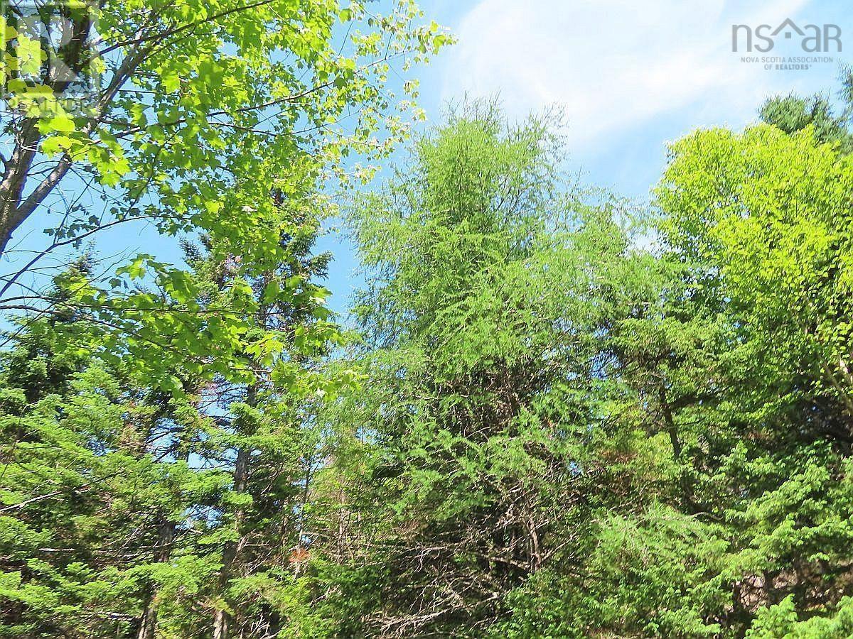 Property 18 of 44 of Lot 3 Upper Grand Mira Road