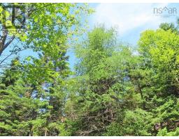 Lot 3 Upper Grand Mira Road, Upper Grand Mira, NS B1K1M1 Photo 8
