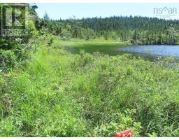 Lot 3 Upper Grand Mira Road, Upper Grand Mira, NS B1K1M1 Photo 29