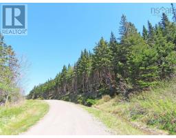 Lot 3 Upper Grand Mira Road, Upper Grand Mira, NS B1K1M1 Photo 35