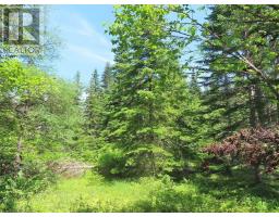 Lot 3 Upper Grand Mira Road, Upper Grand Mira, NS B1K1M1 Photo 6