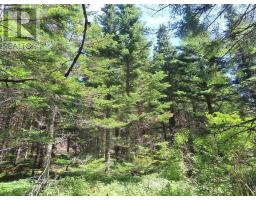Lot 3 Upper Grand Mira Road, Upper Grand Mira, NS B1K1M1 Photo 9