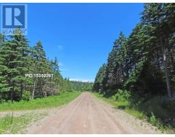 20 Acres Upper Grand Mira Road, Upper Grand Mira, NS B1K1M1 Photo 21